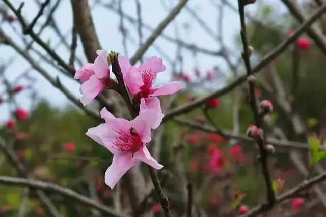 认清自己无比重要