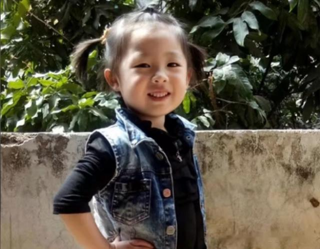 12岁女孩被后妈虐死后续：生母曝多次要抚养权，亲爹照片都不给看