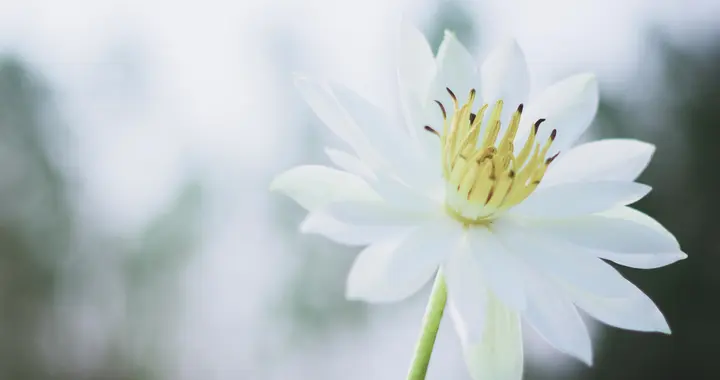 人生最顶级的养生是：能吃能睡能笑