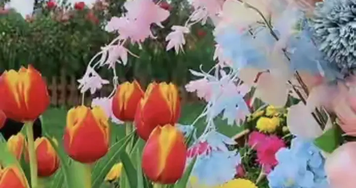 刘强东爱与责任的传承