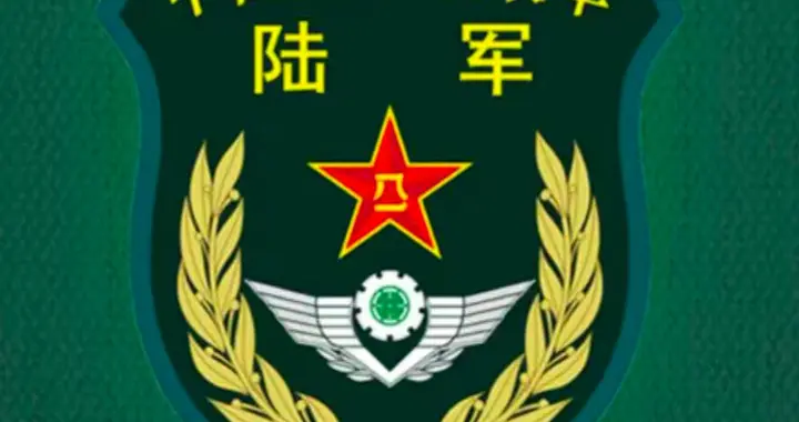 退伍老兵建议，发行建军百年纪念币，让战友们自愿购买，这个可行