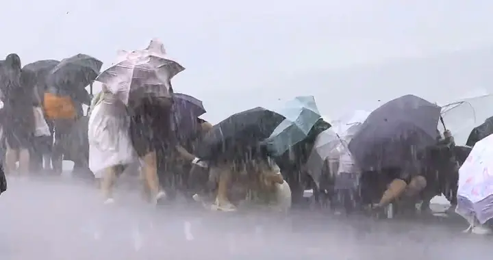 14级强台风白海豚逼近！浙沪大雨暴雨来袭，局地降水或超600毫米