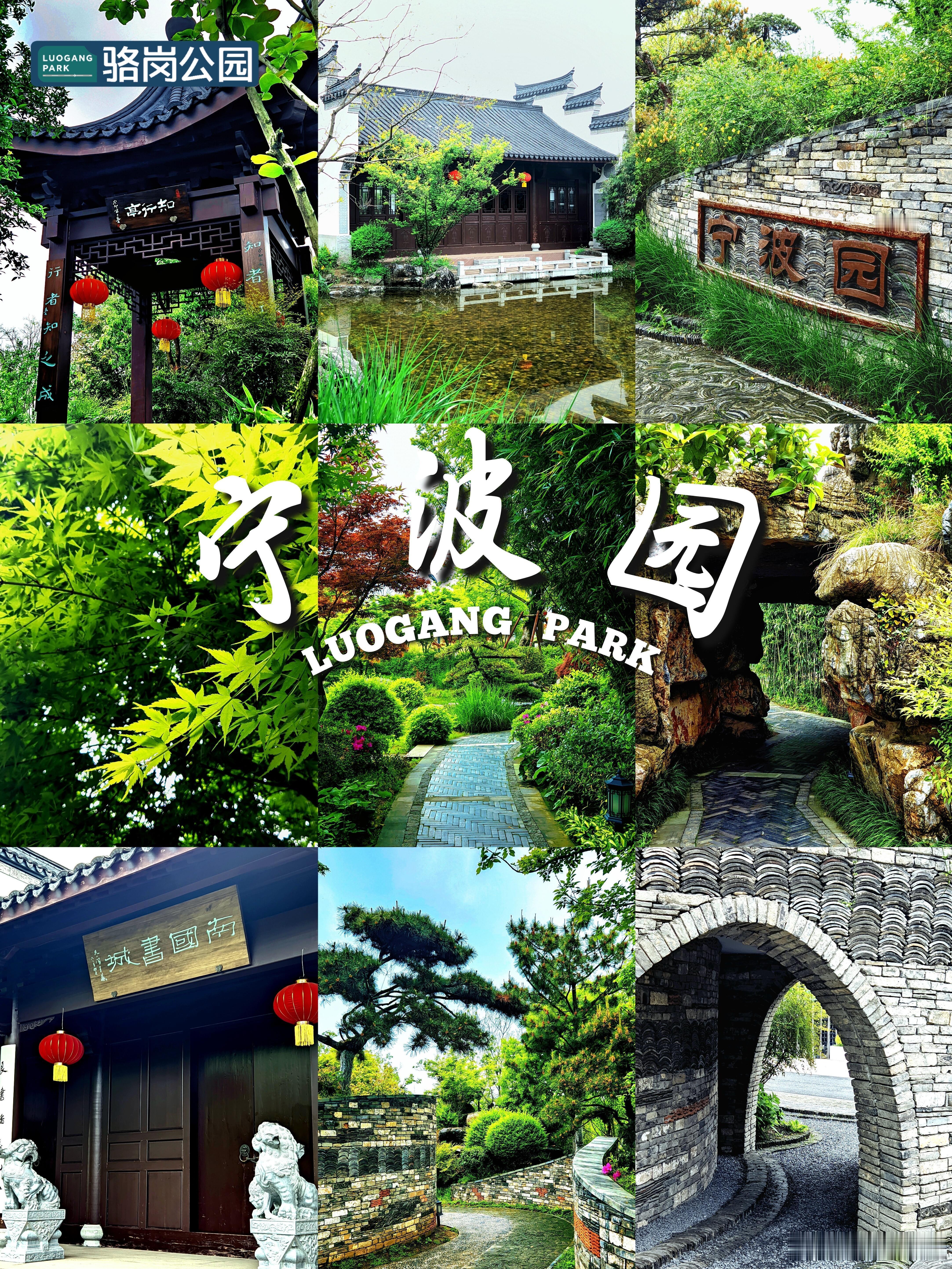 不在宁波在合肥！梅雨天的合肥骆岗公园宁波园，温柔得像一句江南旧梦🎋梅...