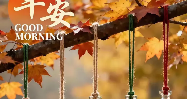 深秋的晨光里，风也轻柔，云也舒展，早安，愿你安好，我无恙