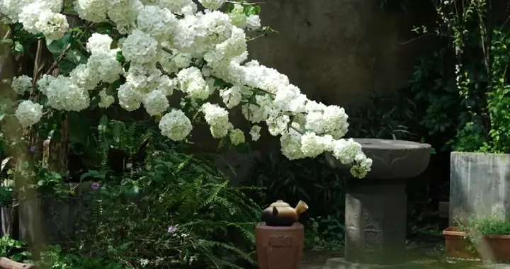 人到了一定年纪才明白：人生后半场，最奢侈的不过是这一个字