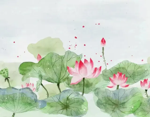 活不过75岁的老人，多半从60岁的开始，就养成了这3个坏习惯