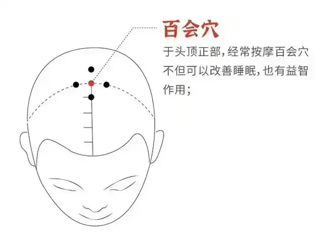 阳气汇聚的核心要冲，麒麟针第一大穴“百会”