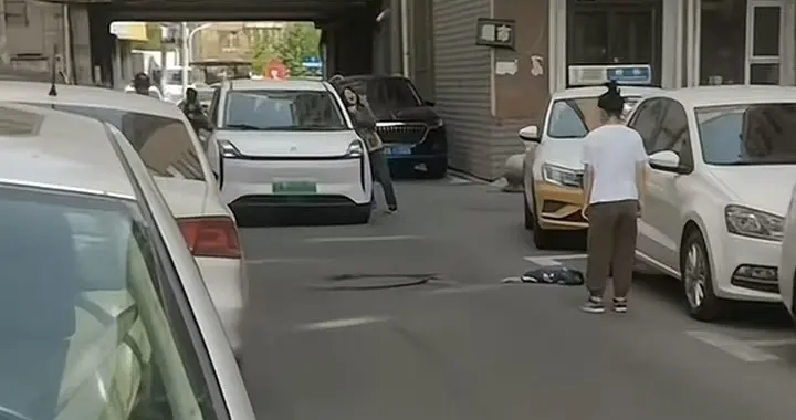 遛狗不拴绳被车撞死，大妈一旁嚎啕大哭，网友：司机无责