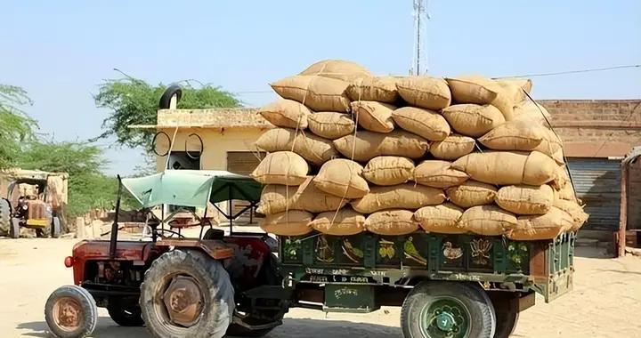 化肥要变天？如果不出意外的话，2026年农资价格将迎来4大转变