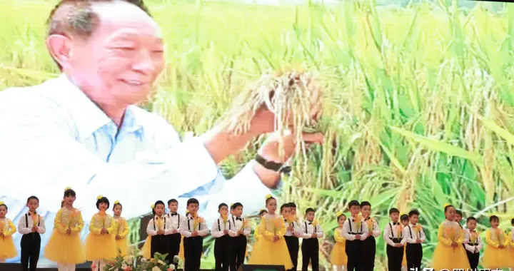 苏辙小学举行2025级“文气贝贝”语言艺术节之朗诵比赛