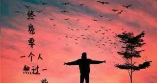 你总要一个人熬过所有的难