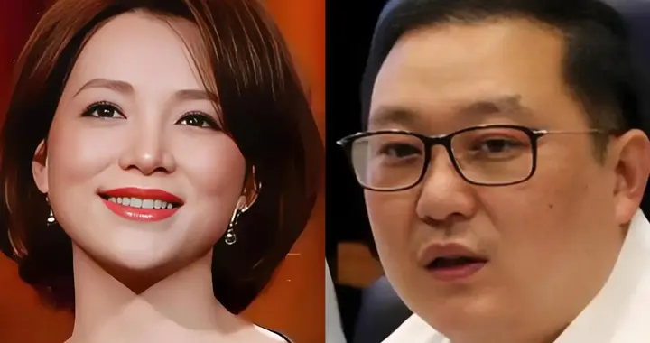 9亿执行令才过4年，董卿打出一张“好牌”，原来密春雷还有退路
