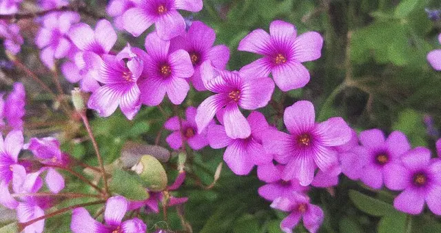 遇见此文，你的好运即将降临！往后余生，尽是美好与惊喜