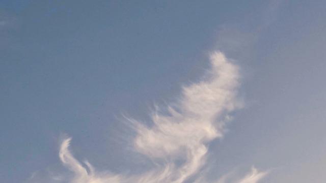 耘笔樵夫(拒私聊)：相信自己的直觉， 久