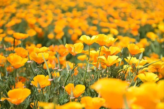 伤感到想哭的句子