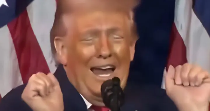 懂王的年度总结：让美国再“伟大”，还是让世界瞠目结舌？