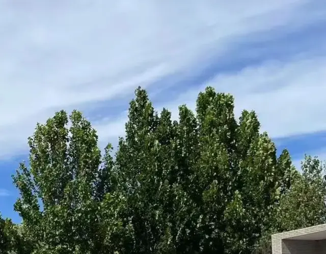 质证视听资料和电子数据：公诉人提供的未必没问题，律师也要质证