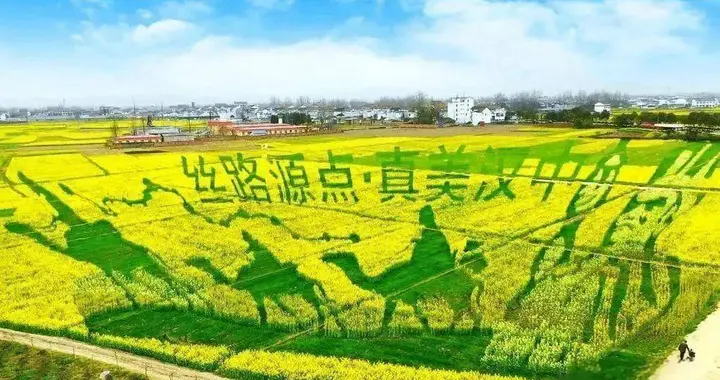 汉中油菜花海提前6天炸屏！万亩鎏金，美到犯规太出片