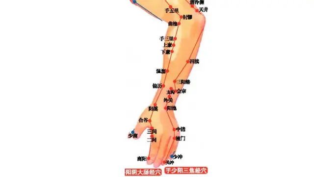 每天转动这2个地方，打通12条经络！活血舒经调理脏腑、预防血栓