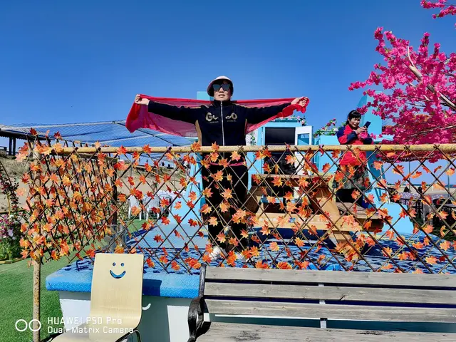 叹《翡翠、和青海湖》