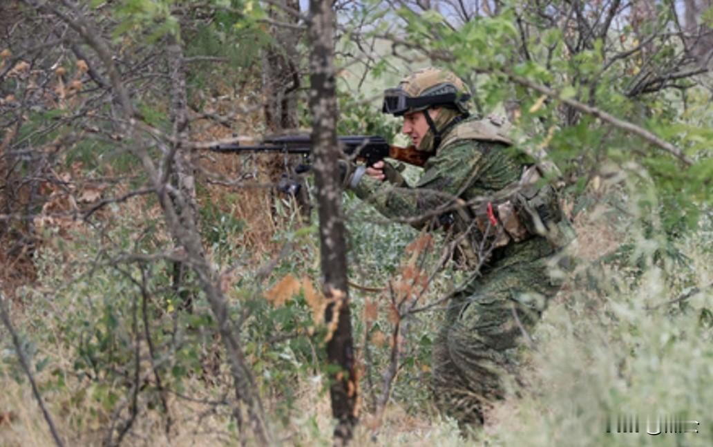 俄军解放斯韦特洛耶稳固阵地，兵锋直指沃江斯科耶持续扩张顿巴斯控制区  ...
