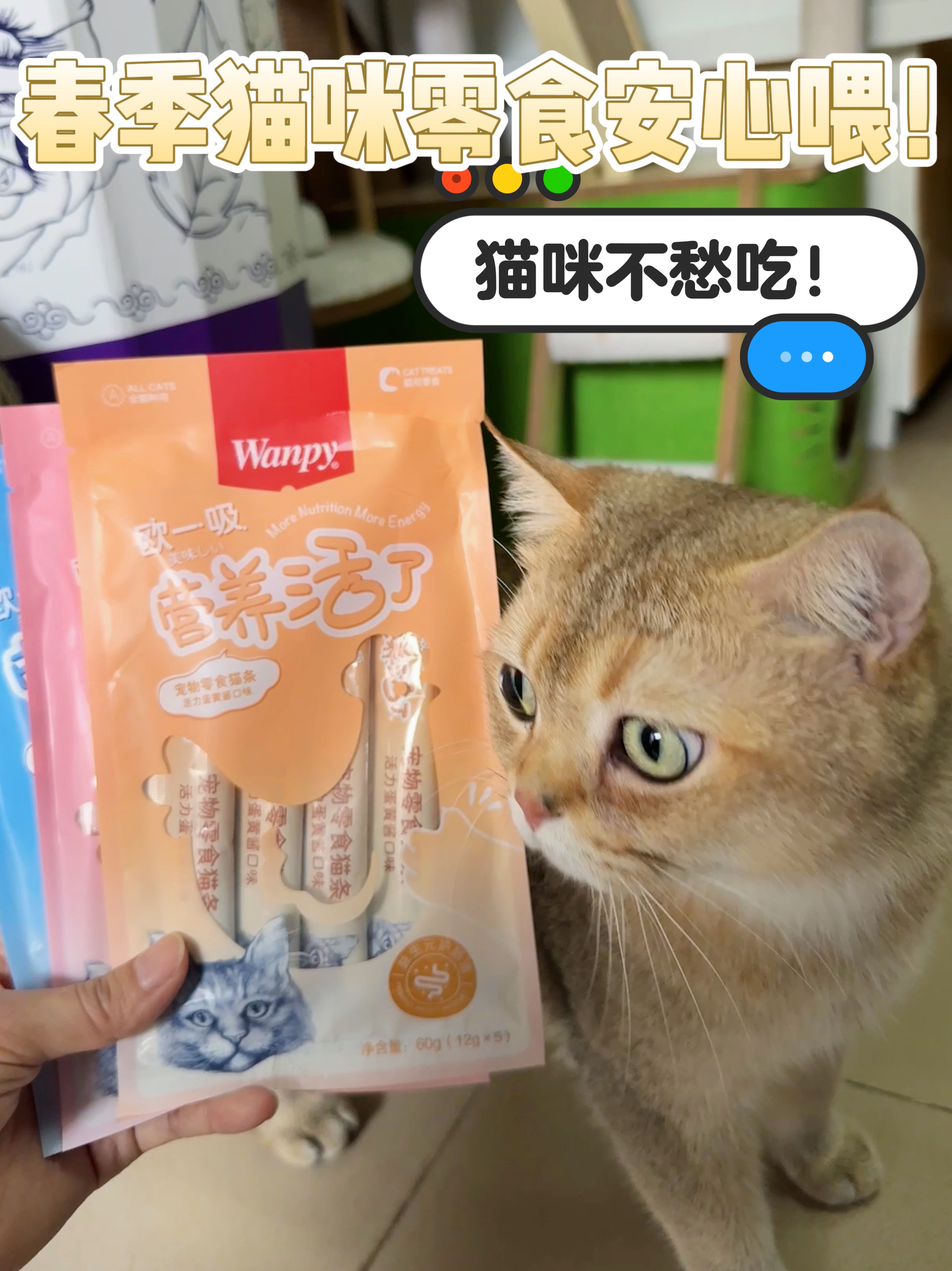 春季猫咪零食安心喂！