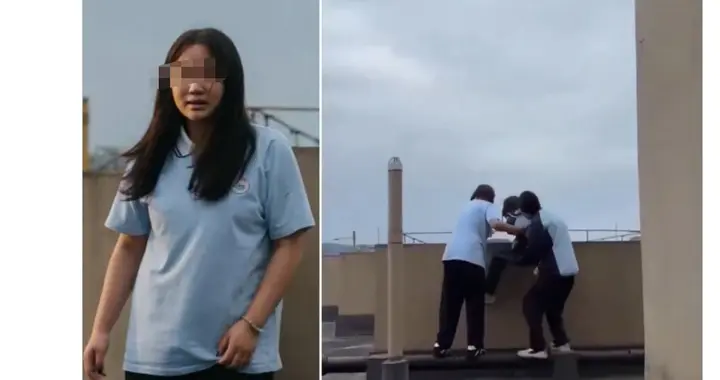 两名女生欲把同学扔下楼被制止，反转！当事人晒证据澄清真相。