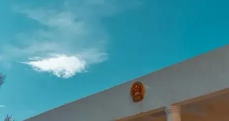 为何说不清公诉权的性质?