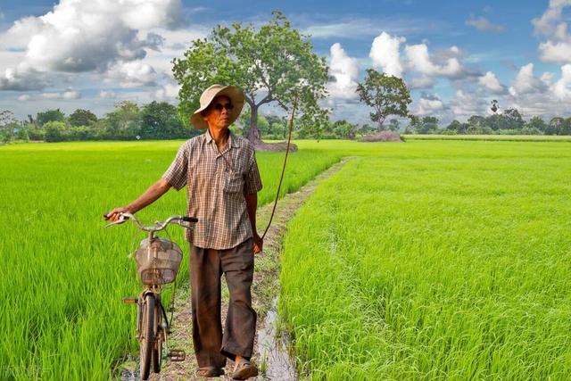 农村人就一定是纯朴善良的吗? 质疑地域刻板印象