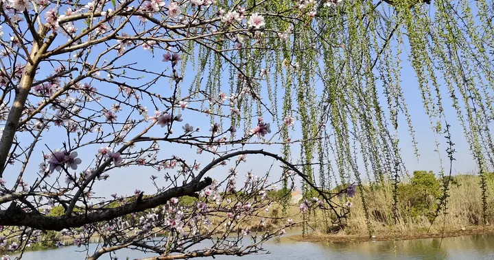 清晨，集体跳水！伊朗，最新警告！
