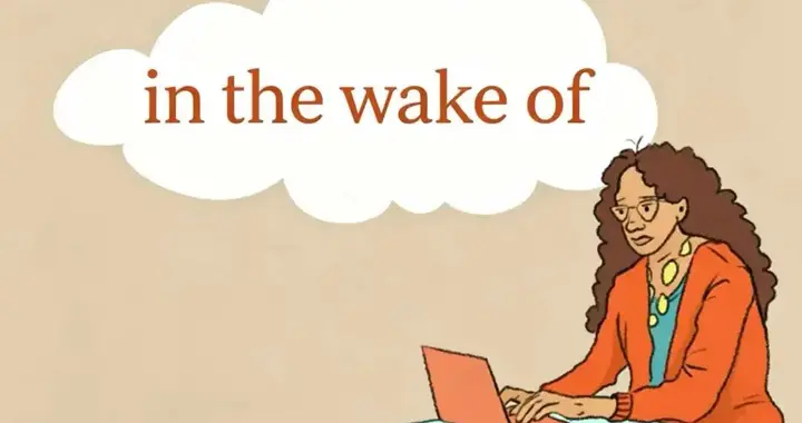 外刊高频表达：in the wake of