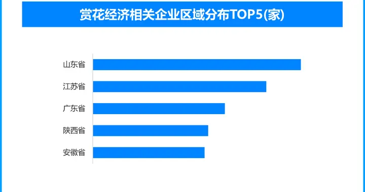 赏花经济：从景观流量到产业价值的生态革新之路
