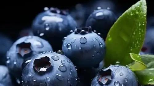 龙儿美食：蓝莓再次成为关注对象！医生警告