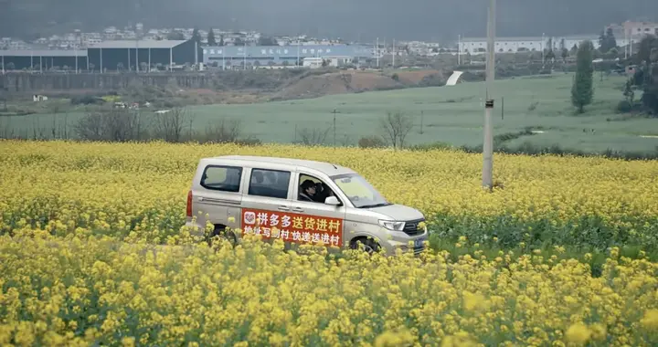 今日乡村：不等信，等一个拼多多包裹