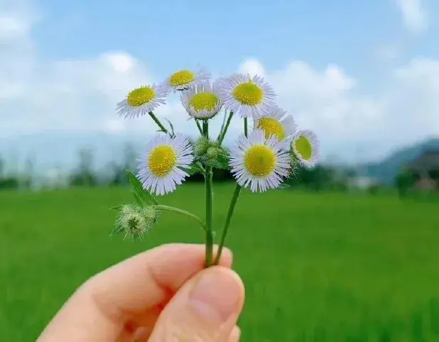 50岁之后，生活幸福的9个标准，看你占了几个？全中的是人生赢家