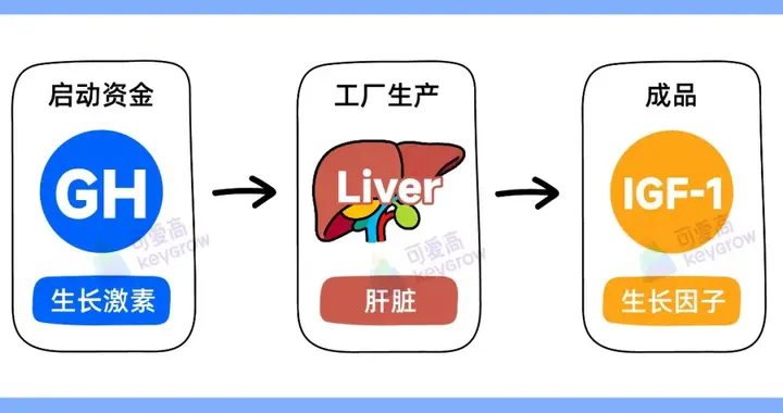 小心它们“偷走”孩子的生长激素！这7个“隐形杀手”家长必看