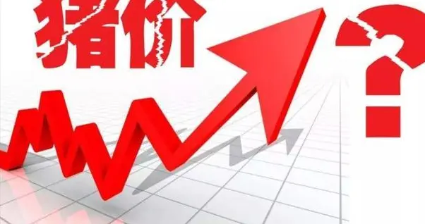 猪价刚涨又跌，4月23日行情解读：利空压顶，但反弹火种还在