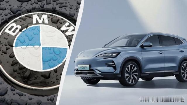 沙漠里的橄榄：比亚迪做梦都没想到，有一天