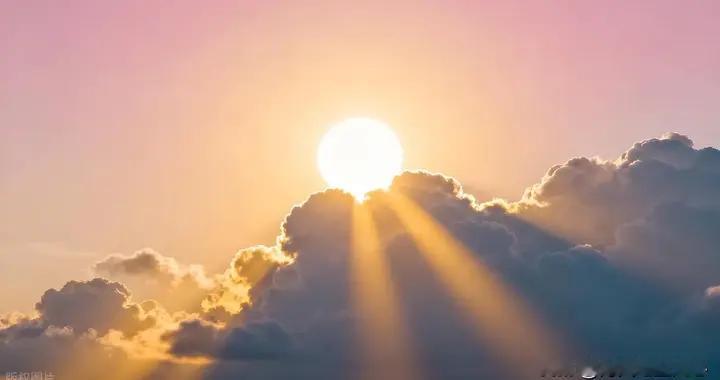 教师之光：“他庞大的知识库令我们叹为观止！”