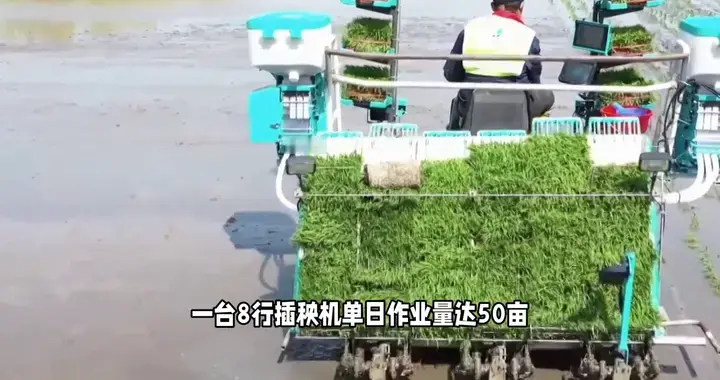今年黑土地的智慧春耕你见过吗