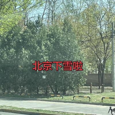 想从你的心中下班：北京下雪啦
