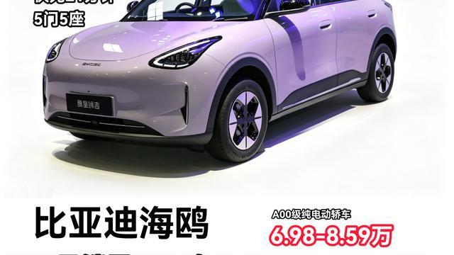 新车迷：吉利星愿 VS 比亚迪海鸥，销量