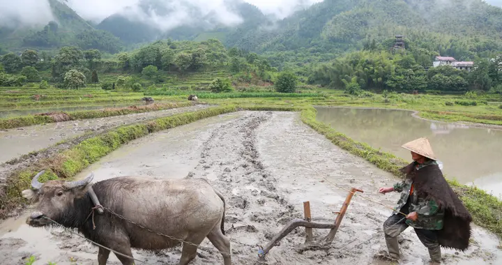 为什么一定要在现代农业园区建智能温室？看完你就懂了！