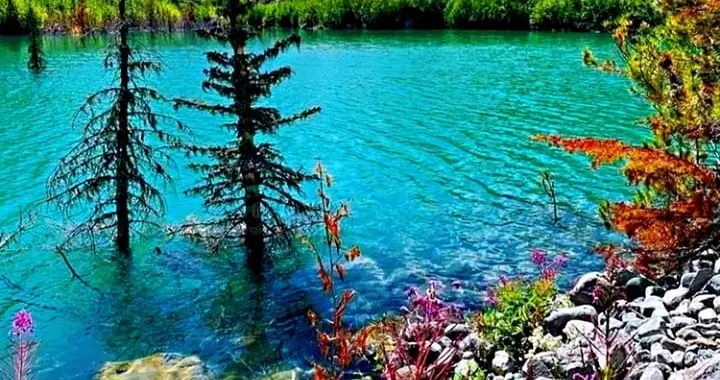 岳阳网吧惊魂：小伙被陌生女子“乱摸”，一场误会引发恐惧与反思