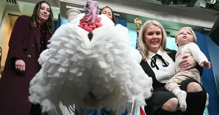 白宫赦免感恩节火鸡是如何成为美国传统习俗的？