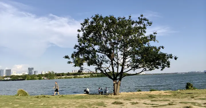 襄阳市公共停车位改造成智慧停车位，为什么市民不买帐？