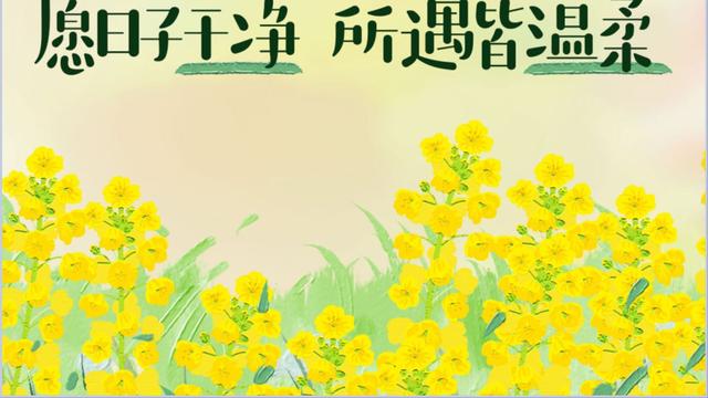 娟姐说：一位老教授说：努力是燃料，不是目