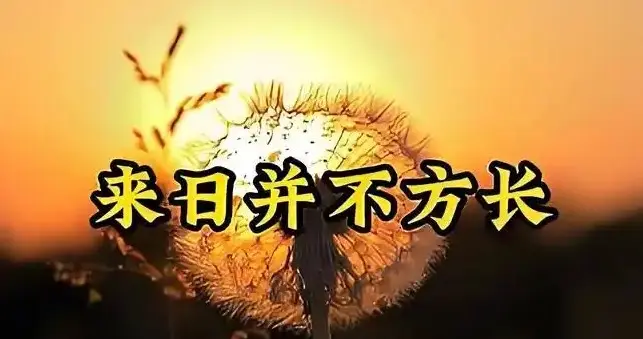清明假期4位名人接连离世，最大86岁最小19岁