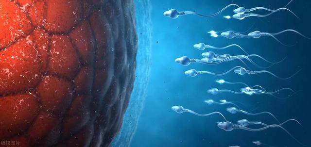 男性不育是怎么回事？医生提醒：警惕无精症，4个原因是诱因