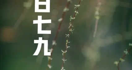 今日进七九，春节与七九相逢，农村老人说有“3怕”，具体指啥？